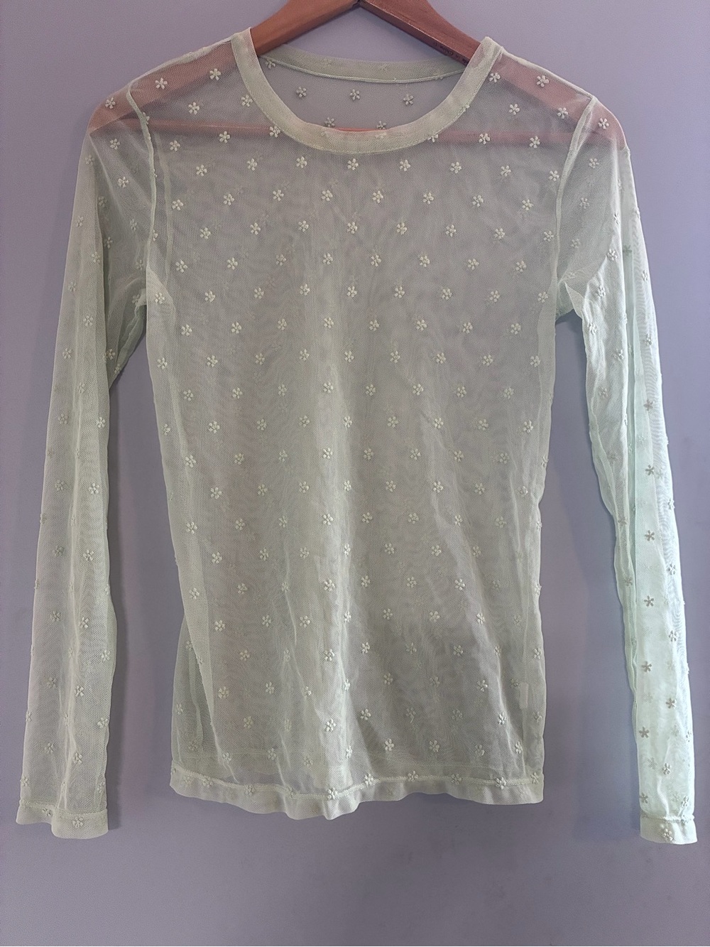 😎 Gardencor Fairy sheer long sleeve Y2K top